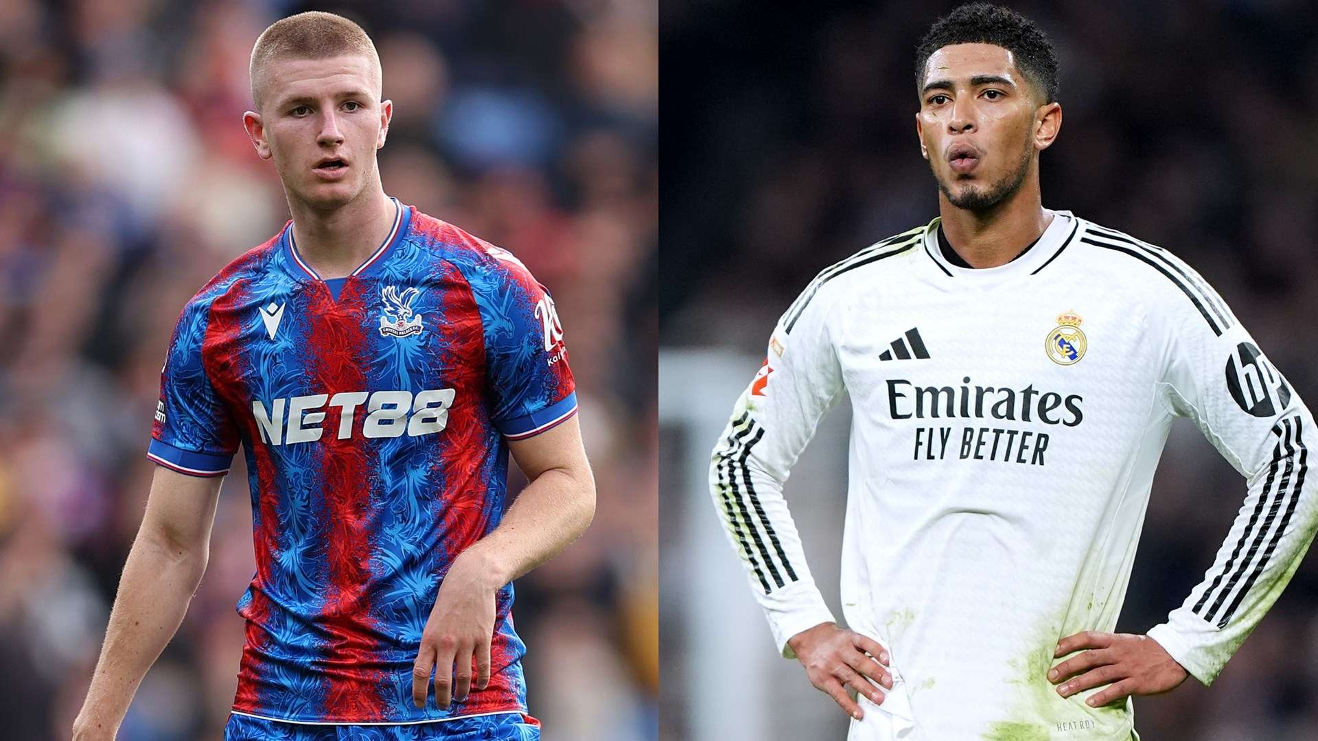 兰的防线 兰的防线