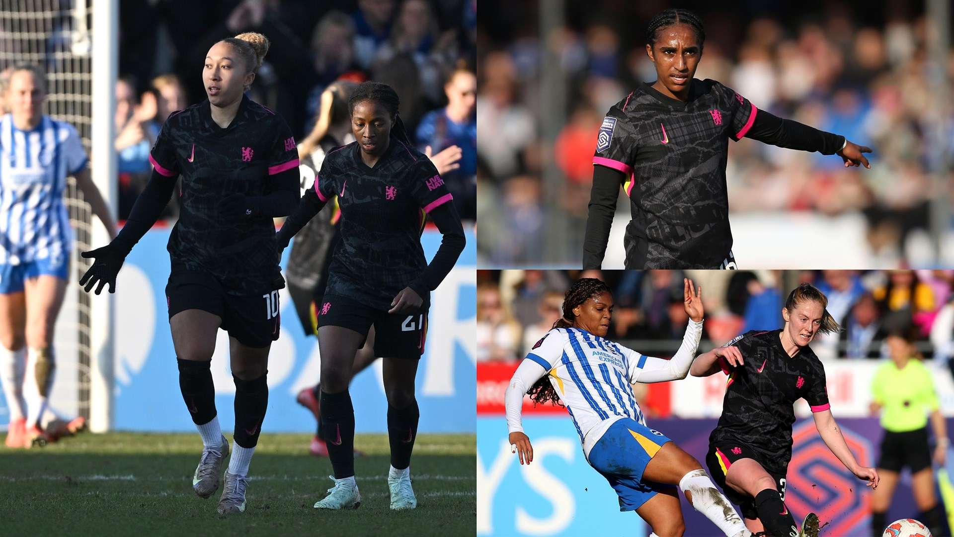 合作的胜利 合作的胜利