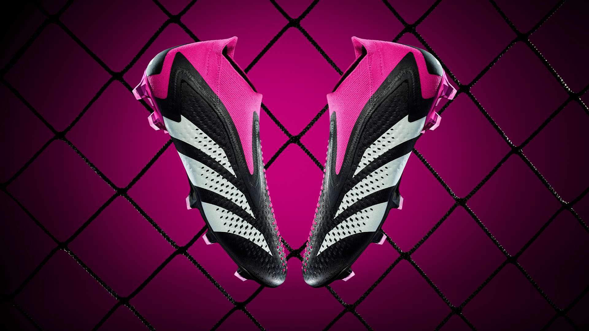 赛事的胜利 赛事的胜利