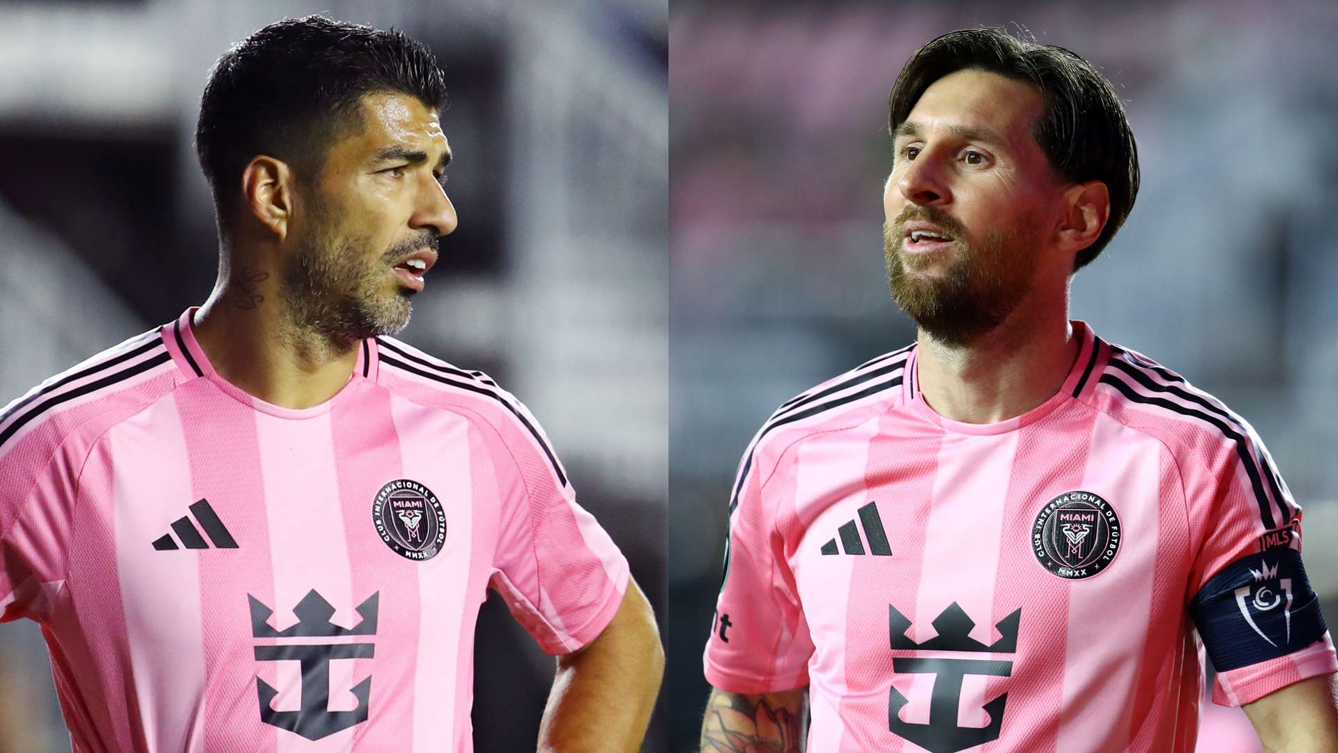 這一決定明 這一決定明