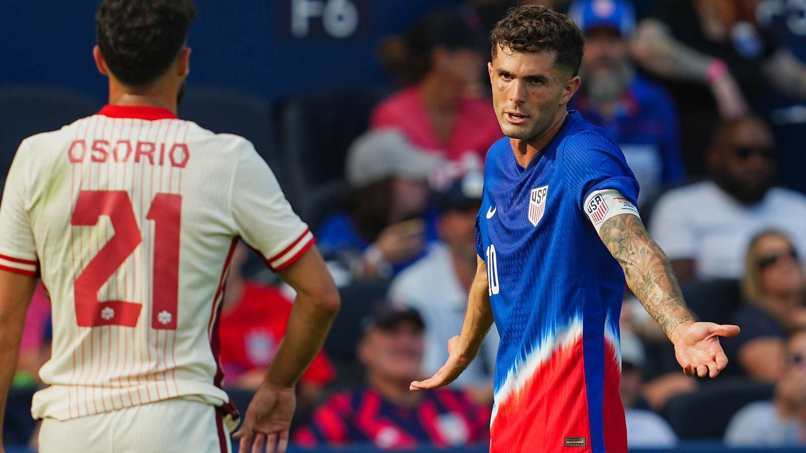 并提供一些 并提供一些